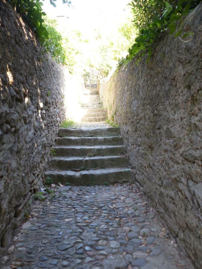 Gite De La Cite Holiday home Carcassonne